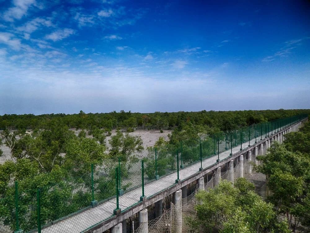 Sundarban Boat Safari and Watchtower