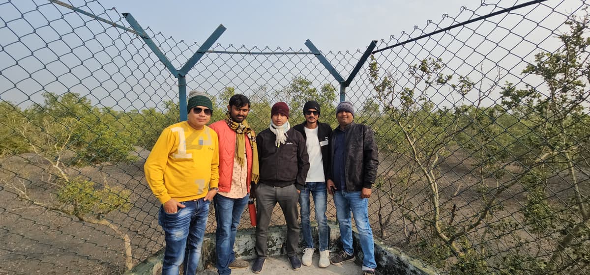 Sundarban mangroves